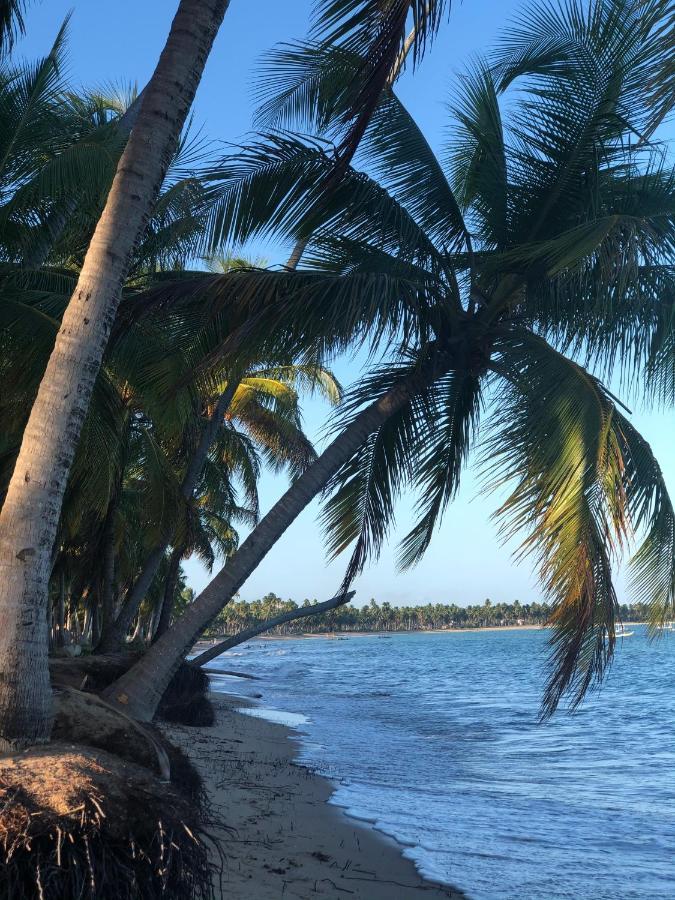 Le Petit Suites Praia De Lages Pôrto de Pedras Esterno foto