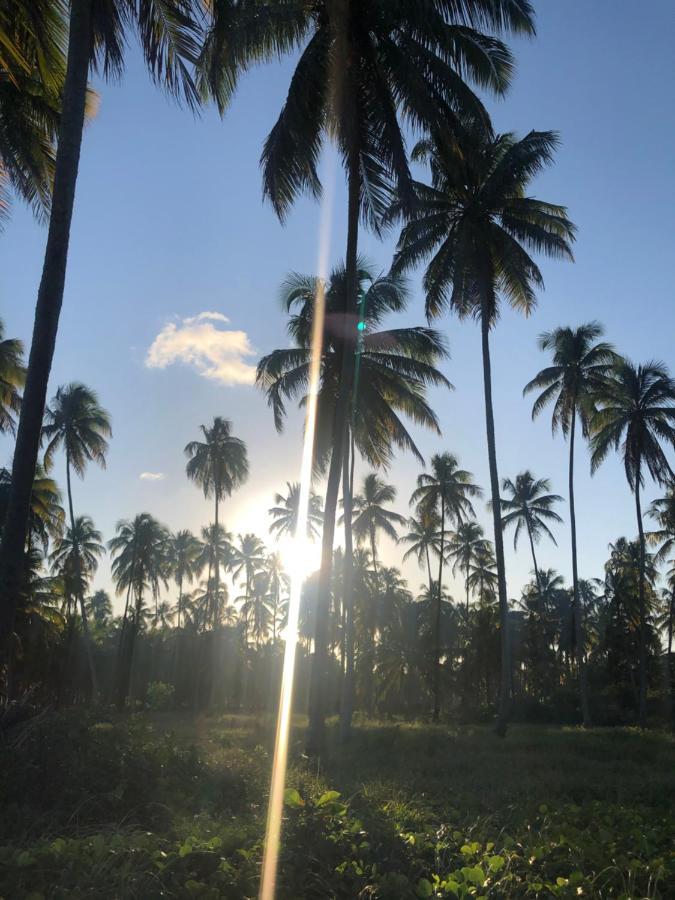 Le Petit Suites Praia De Lages Pôrto de Pedras Esterno foto